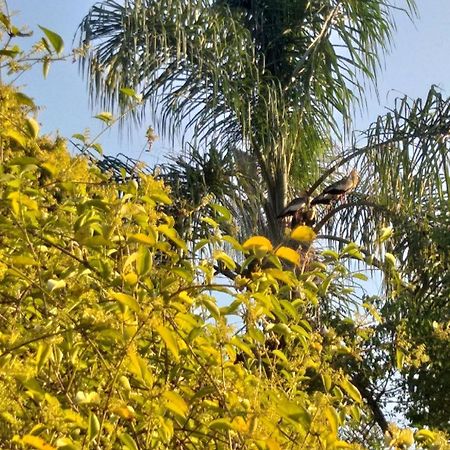 Pousada Do Sossego Conceicao da Ibitipoca Phòng bức ảnh